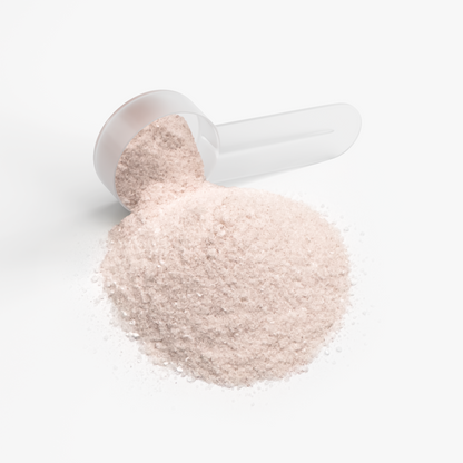 Moto Charge - Passion Current Hydration Powder (Passion Fruit)